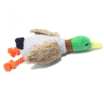 Mallard Duck Squeaky Toy For Dog